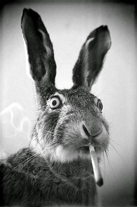 PAR PIRMO CIGARETI